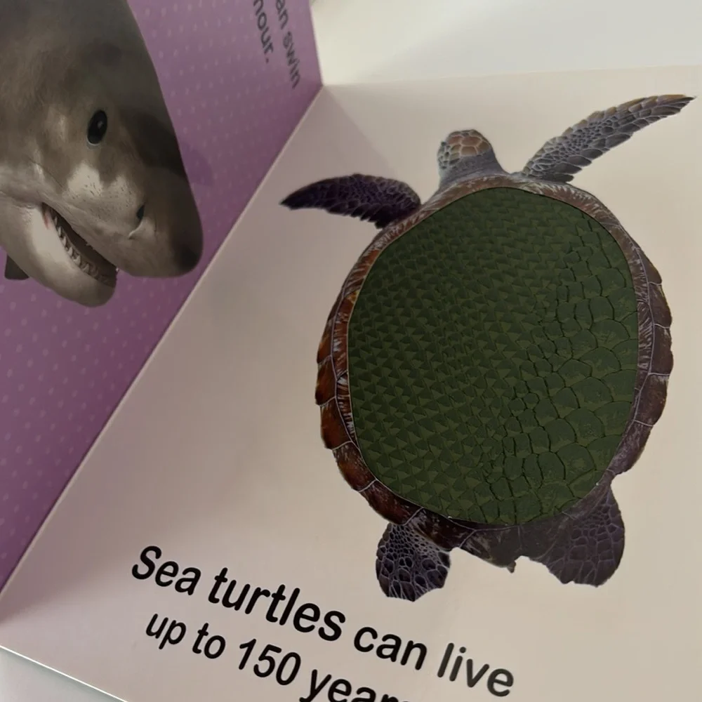 Series Books by Vision St. Publishing Adorable Animals  and Sea Animals